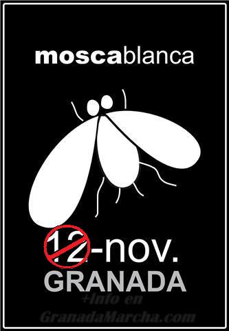 Aplazada Fiesta de la Mosca Blanca